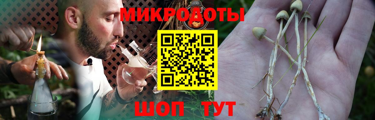 Бузулук  Псилоцибиновые грибы Cubensis  Вход с VPN 